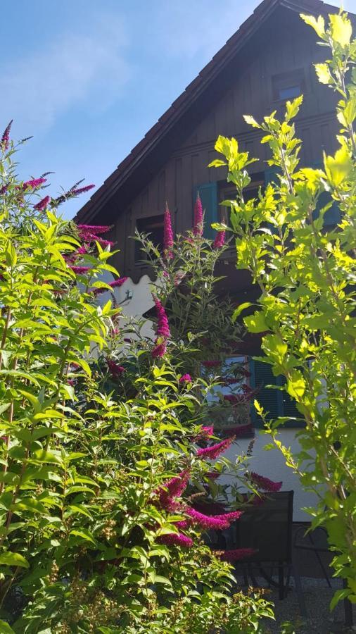 Appartamento Chill&Sleep Bad Ischl Esterno foto
