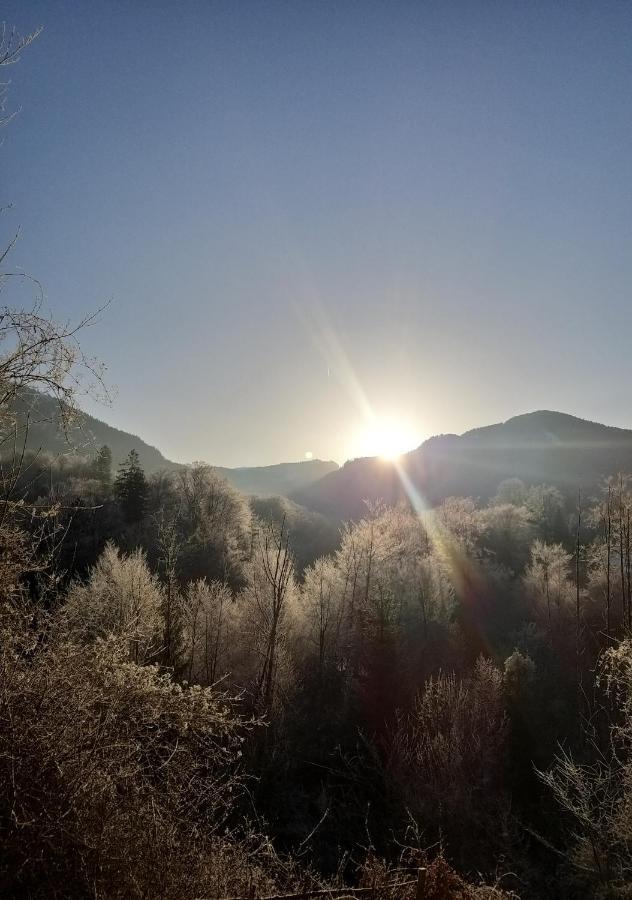 Appartamento Chill&Sleep Bad Ischl Esterno foto