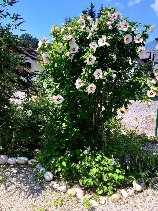 Appartamento Chill&Sleep Bad Ischl Esterno foto