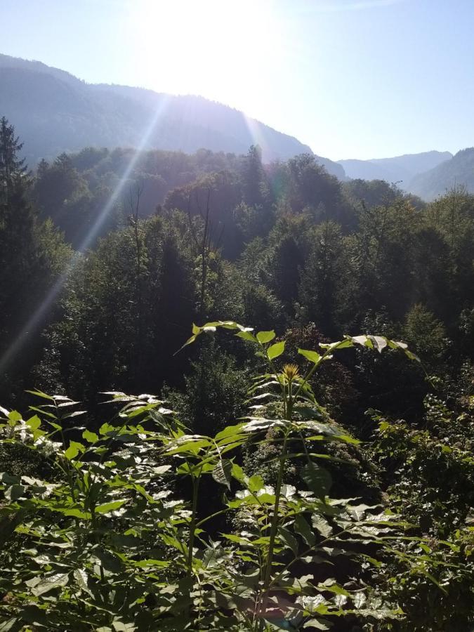 Appartamento Chill&Sleep Bad Ischl Esterno foto
