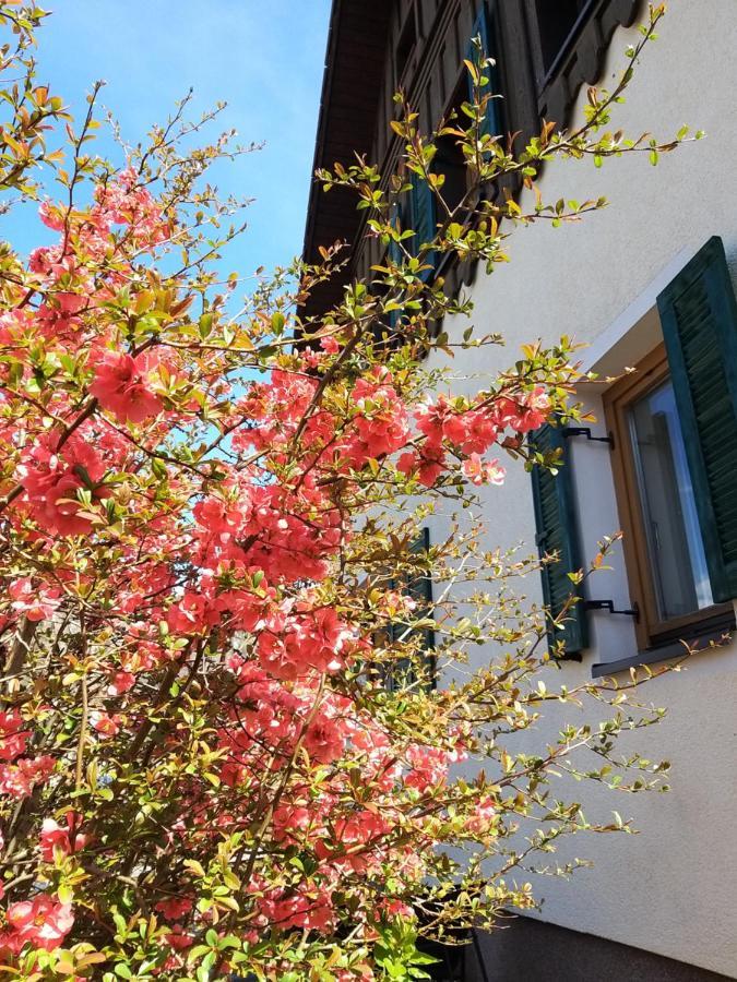 Appartamento Chill&Sleep Bad Ischl Esterno foto